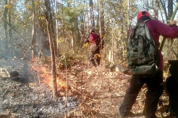 Forest firefighters put out a blaze in a forest reserve in Mae Sot district, Tak, on Thursday. (Photo by Assawin Pinitwong)