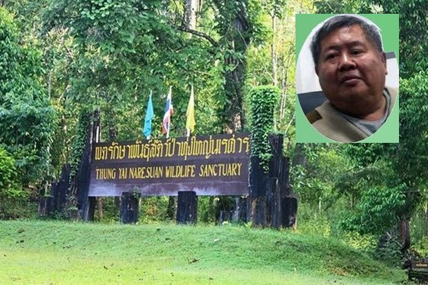 Park warden-national hero Wichien Chinnawong and three rangers pile up the evidence in the poaching case but suspect tycoon Premchai Karnasuta (inset) denies all and stays silent.