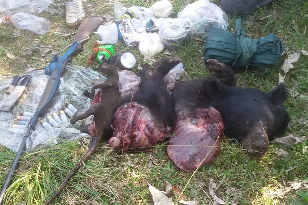 Man caught in park with dismembered black bear