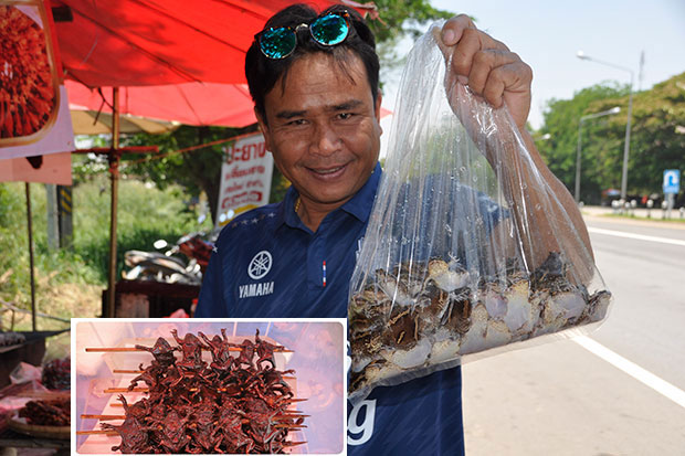A man shows a bag of fresh ueng ang frogs he has just bought from a roadside stall in Pak Thong Chai district, Nakhon Ratchasima. It's a popular snack in Isan at this time of year - and very profitable for vendors. (Photo by Prasit Tangprasert) A man shows a bag of fresh ueng ang frogs he has just bought from a roadside stall in Pak Thong Chai district, Nakhon Ratchasima. It's a popular snack in Isan at this time of year - and very profitable for vendors. (Photo by Prasit Tangprasert)