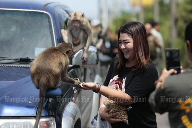 Monkey islands proposed to protect people