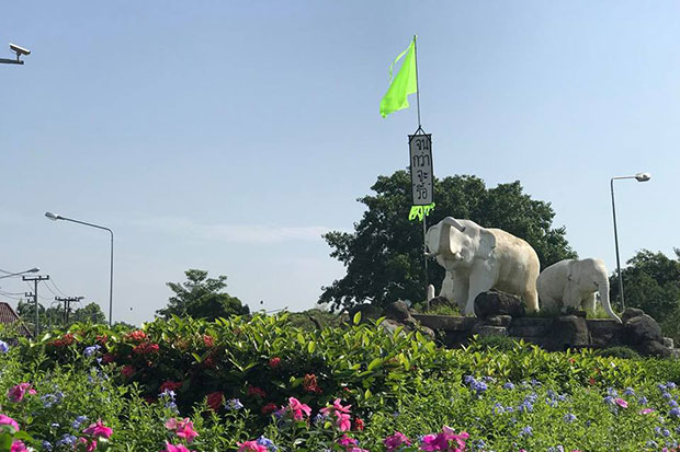 Green flags fly in Chiang Mai against Doi Suthep housing