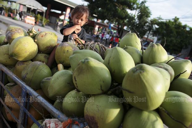 Three-month coconut import ban proposed