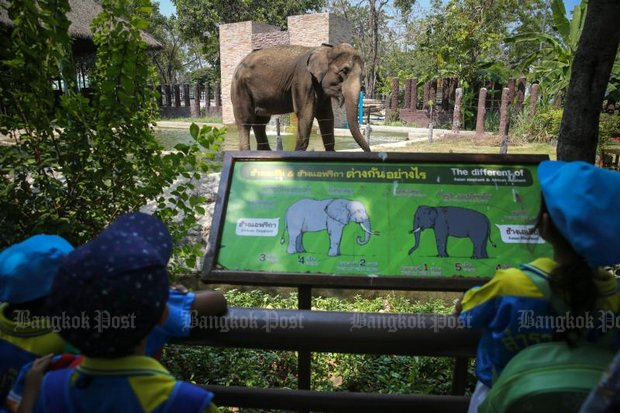 Animal welfare key to Dusit Zoo move