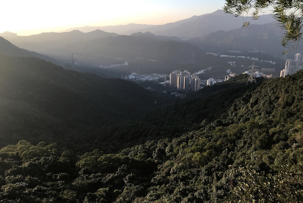 HK closes park as dengue cases spike