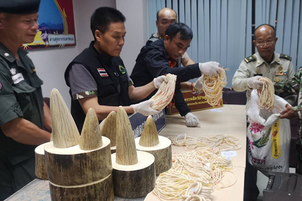 22kg of ivory seized from passenger on bus from Laos