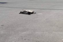 Army officer accused of barbaric treatment of two dogs