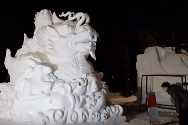 'Wild boars' sculpture contests in Harbin ice festival