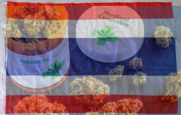 Biothai, FTA  Watch to float advice on marijuana