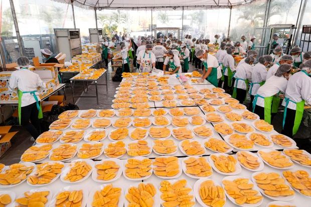 Workers prepare plates of mango with sticky rice, a popular local dessert for thousands of Chinese tourists, in an outdoor banquet in Muang Thong Thani in Nonthaburi province outside Bangkok on Jan 20, 2019 as part of a government promotion to attract more Chinese tourists. The huge event aims to set a Guinness World Record for the largest serving of mango sticky rice. (Photo by Krit Phromsakla Na SAKOLNAKORN / THAI NEWS PIX / AFP)