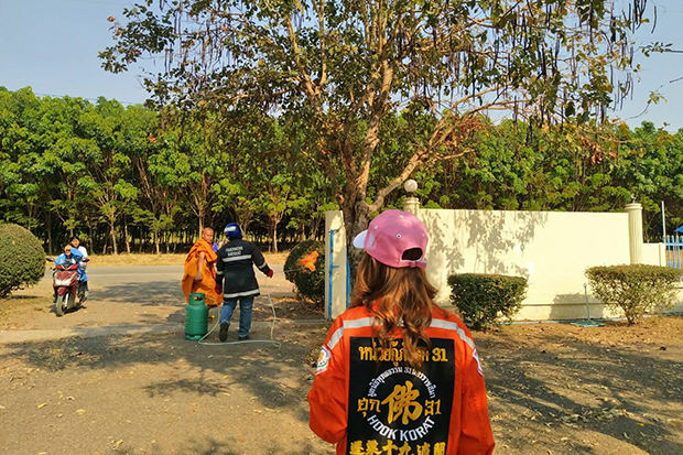 Wasp nests cleared from Korat school after children stung