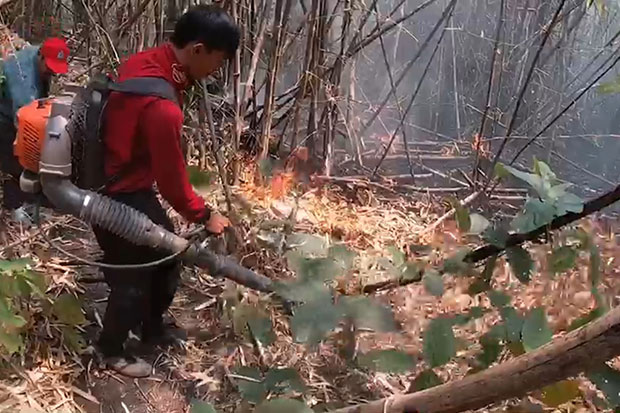 Fire fighters sent to national park, 379 hotspots found