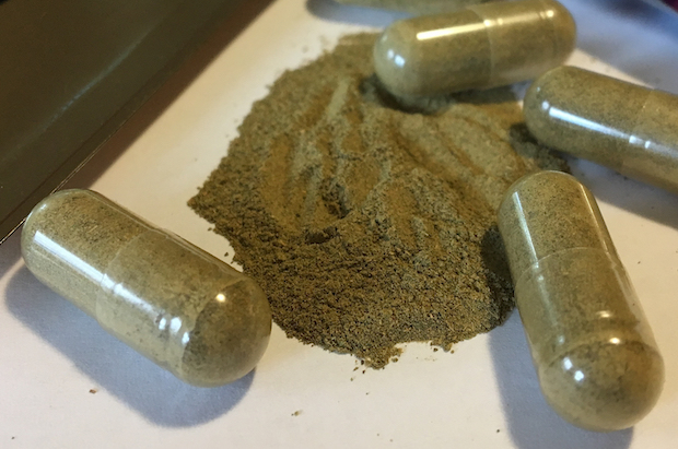 Kratom overdose deaths rising in US