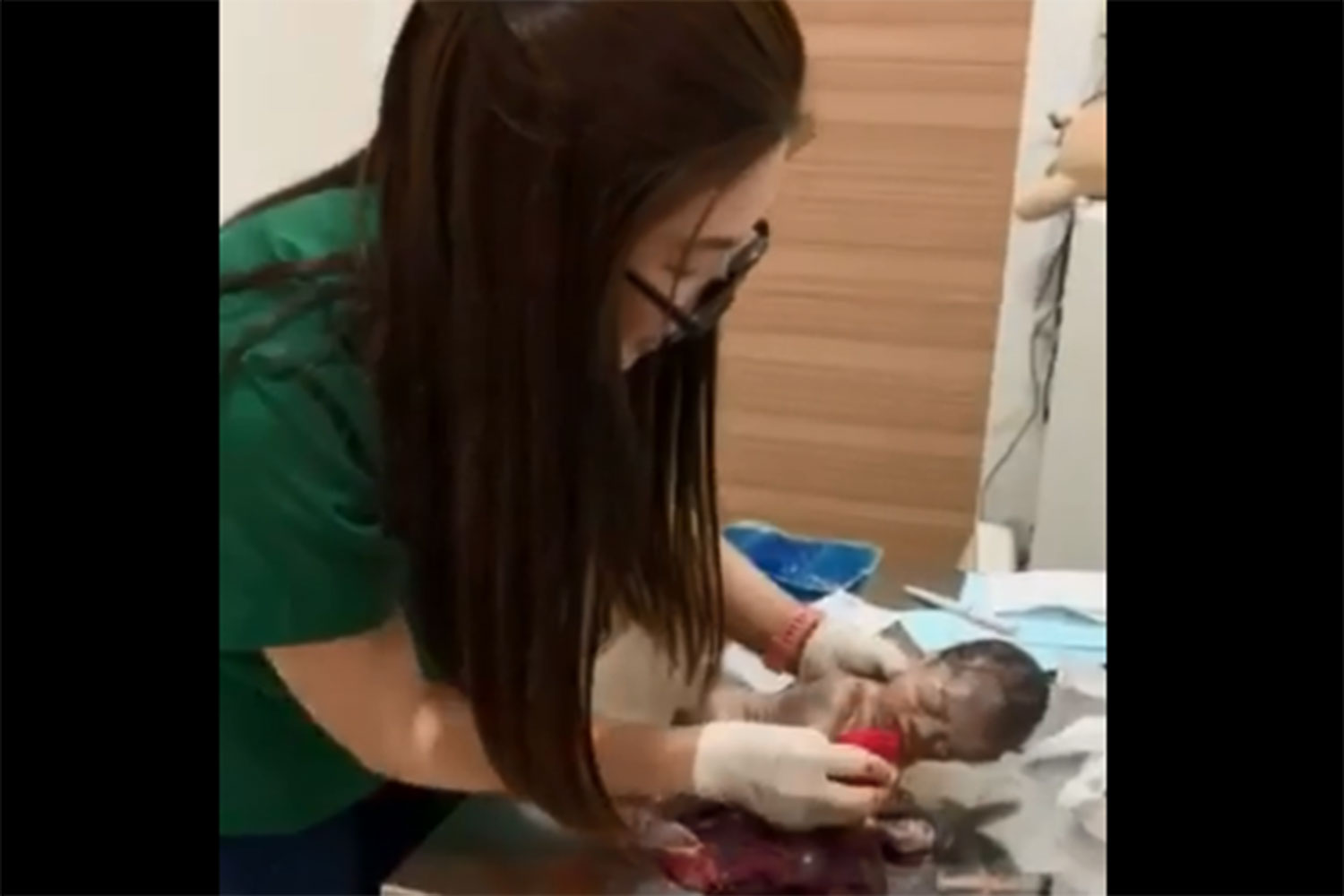 Veterinarian praised for saving baby's life