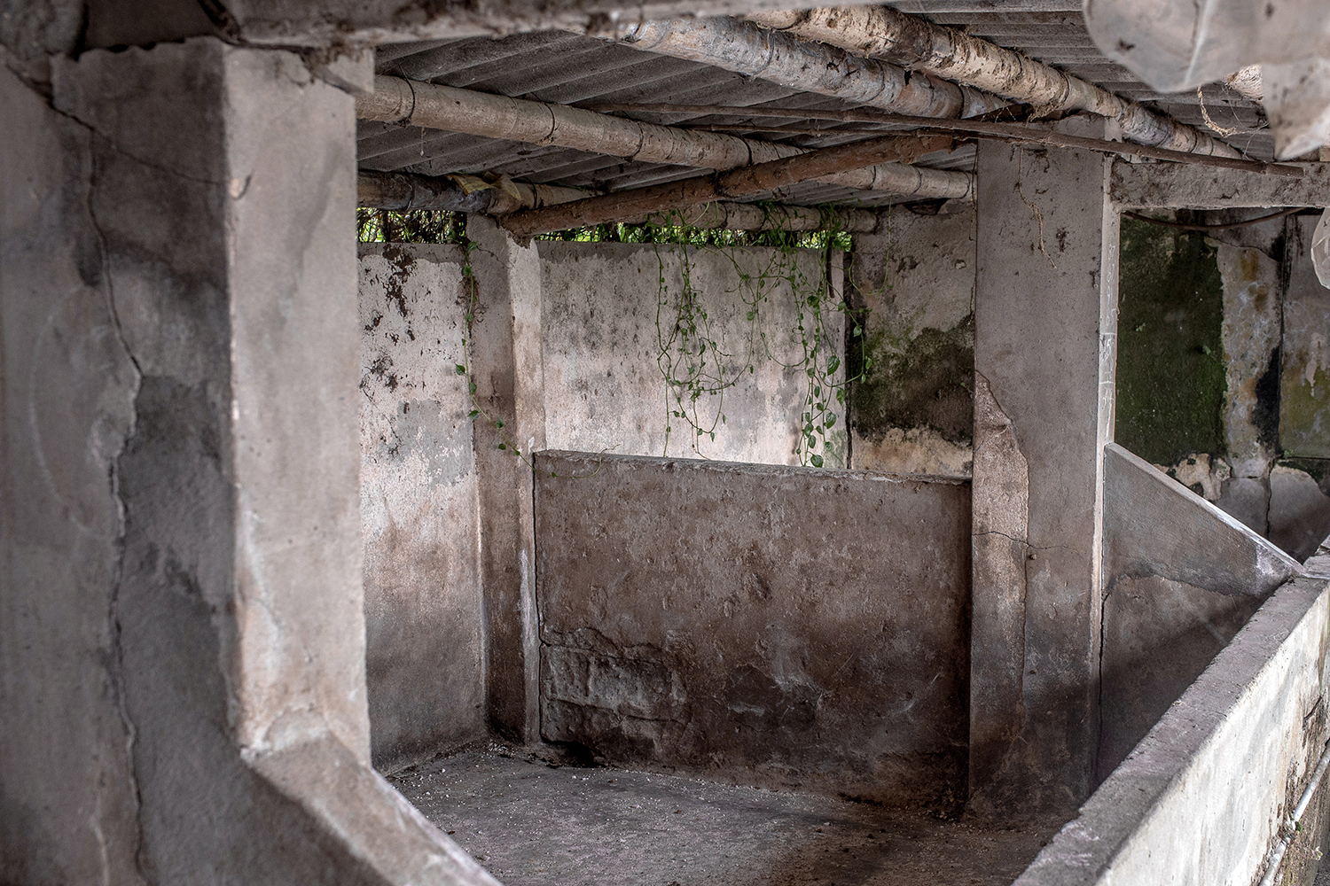 Empty pig pens stand at a farm in Dong Trach village, Hai Duong province, Vietnam, on Wednesday. (Bloomberg photo) Empty pig pens stand at a farm in Dong Trach village, Hai Duong province, Vietnam, on Wednesday. (Bloomberg photo)