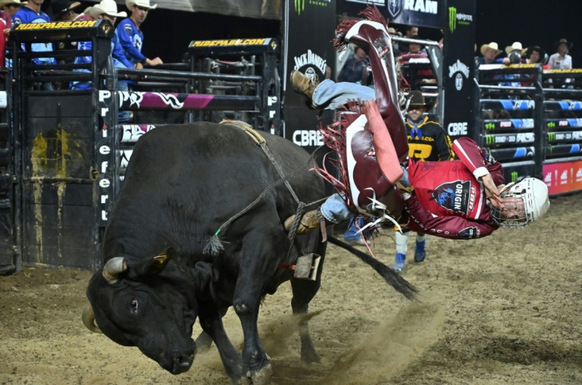 Bangkok Post - Death-defying bull riders thrill crowds in popular ...