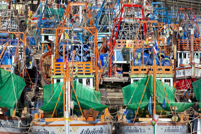 Bangkok Post - Thousands plan to protest fishing crackdown