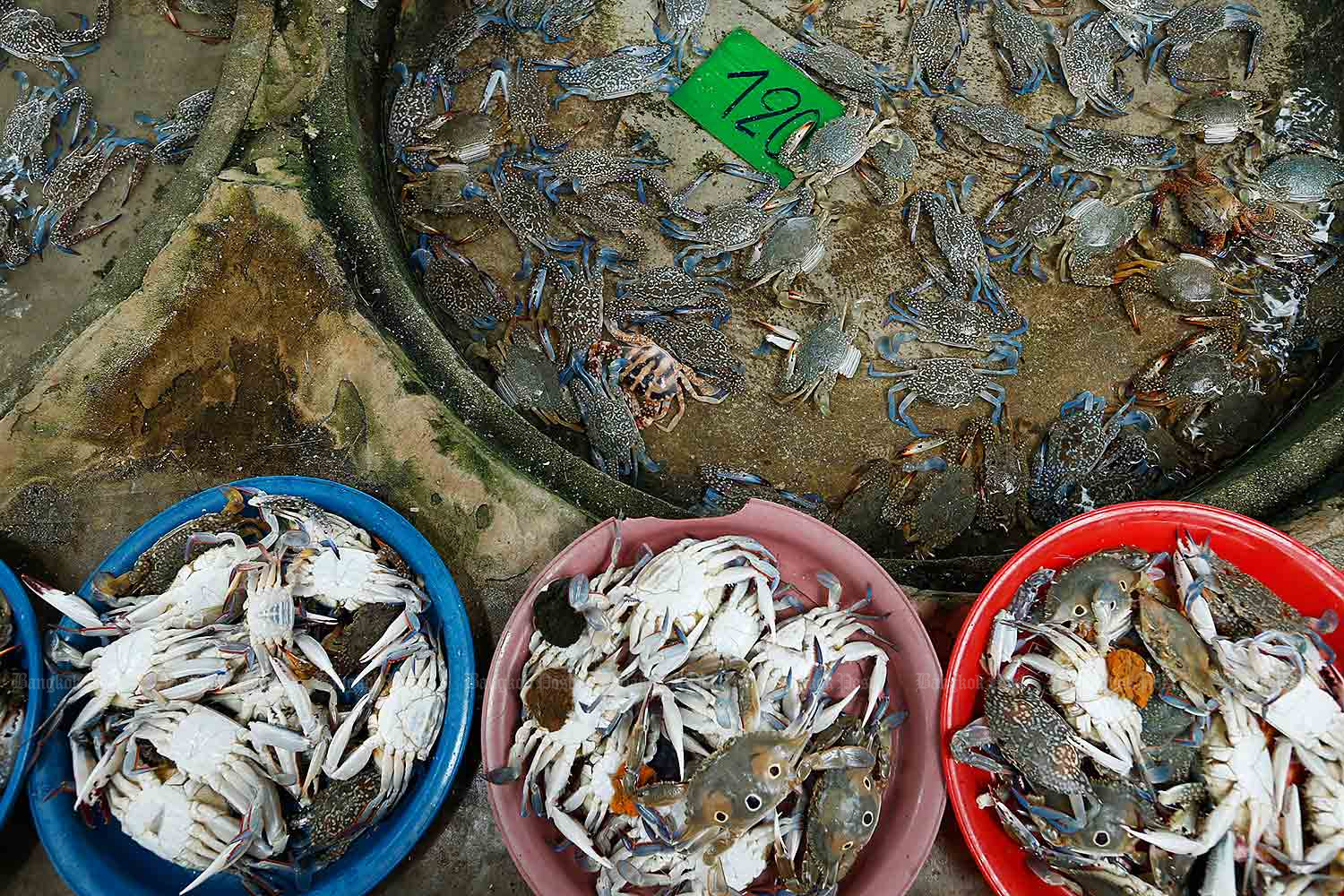 Practising seafood safety