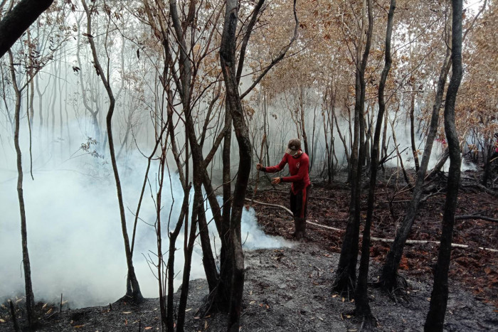 Bangkok Post Southern peat fire controlled
