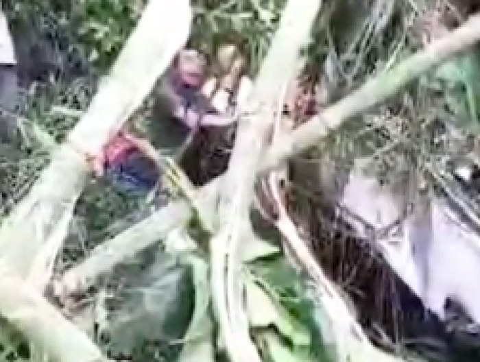 Bangkok Post - 13 killed as tour bus crashes in Laos