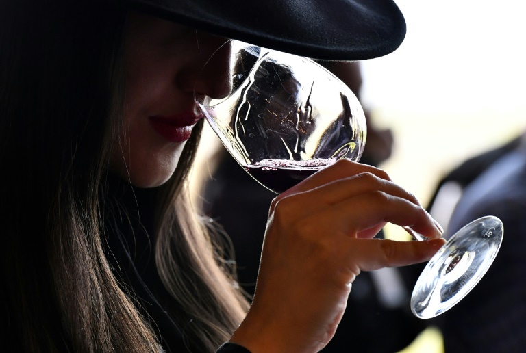 A study by a team of scientists from King's College London has found that red wine drinkers had a greater diversity of bacteria in their digestive tracts, a marker of gastrointestinal health, compared to those who consumed other forms of alcohol. A study by a team of scientists from King's College London has found that red wine drinkers had a greater diversity of bacteria in their digestive tracts, a marker of gastrointestinal health, compared to those who consumed other forms of alcohol.