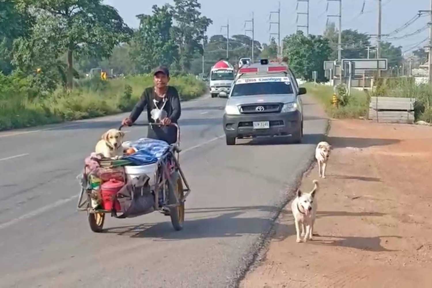 Sakchai Suphanthamat, 40, of Udon Thani, pushes his two-wheel cart with an urn containing the cremated ashes and bones of his wife, as he and his three dogs travel through Prachin Buri province on Saturday. (Photo by Manit Sanubboon)