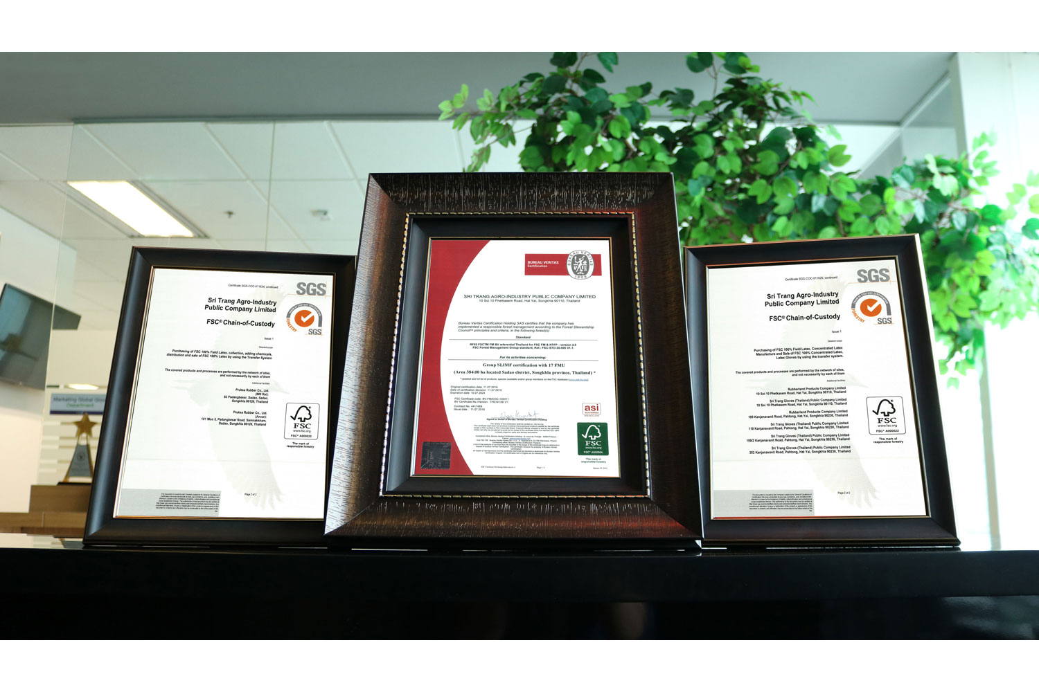 Bangkok Post Sri Trang Gloves goes green, pushing beyond the