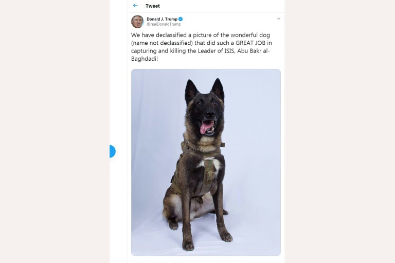 Image-Content