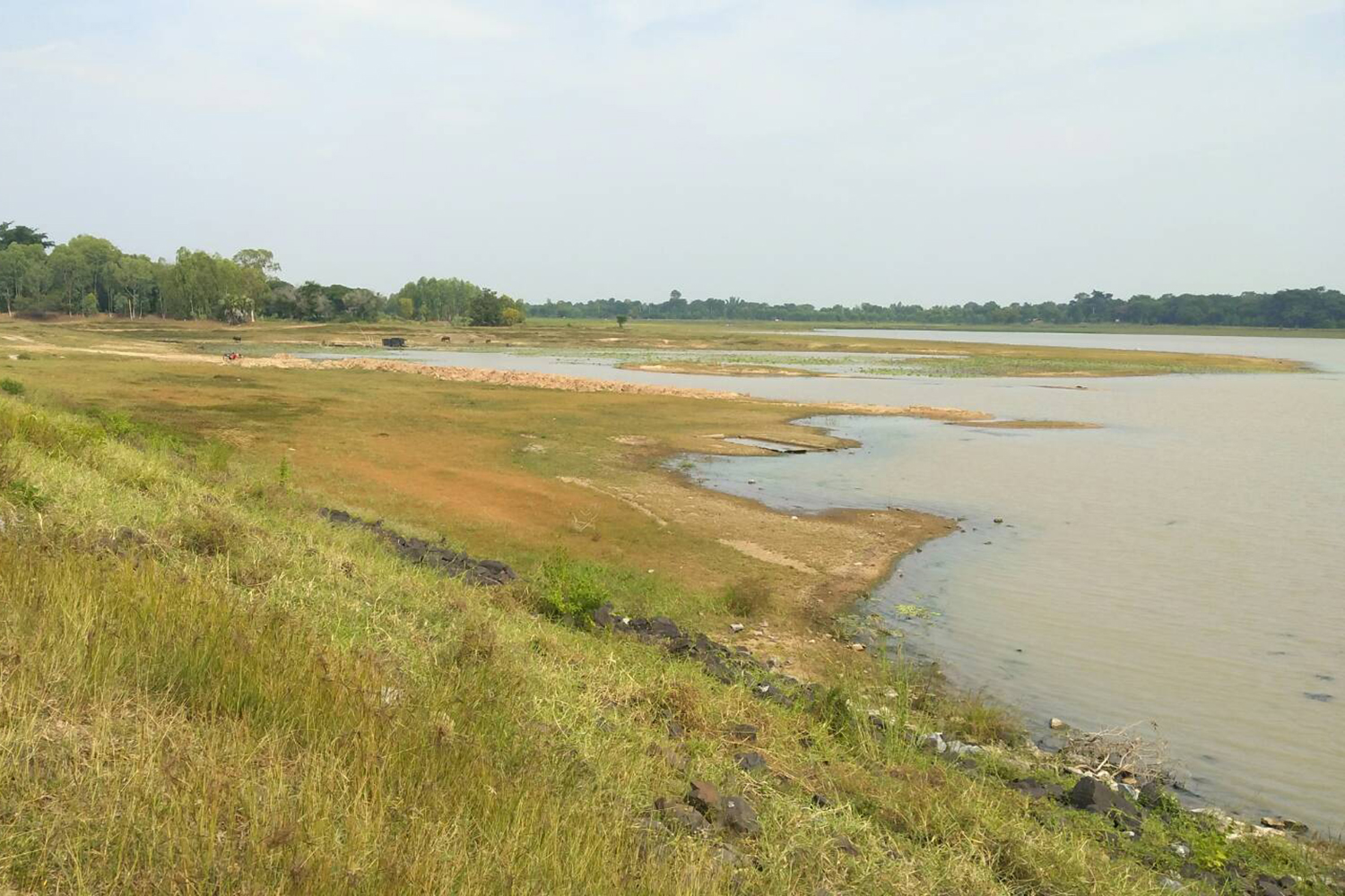 The water level in a reservoir in Phi Mai district of Nakhon Ratchasima has dropped due to the drought that has hit the province. (Photo by Prasit Tangprasert)