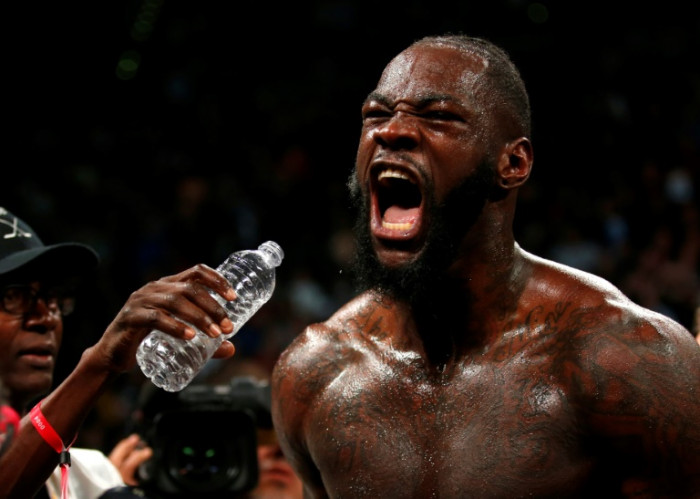 Wilder crushes Ortiz to retain WBC heavyweight title