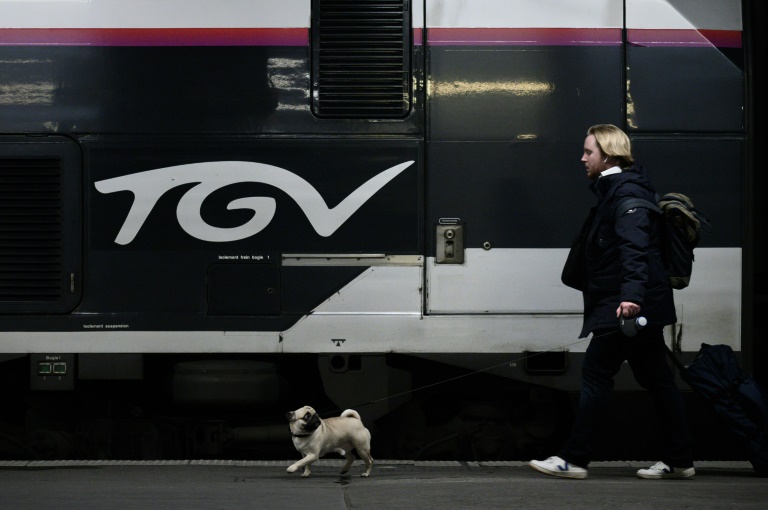 Only half of high-speed TGV trains were running in France. Only half of high-speed TGV trains were running in France.