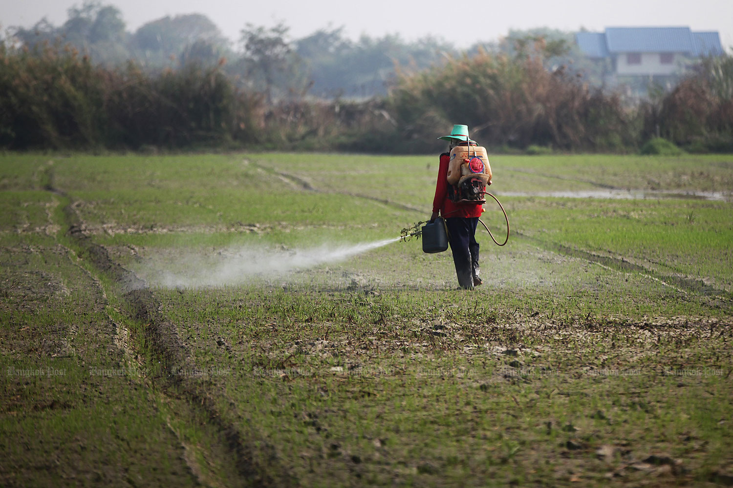 57,000 push for ban on chemicals