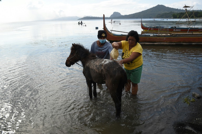 Taal's community had to flee without their prized ponies and most of their possessions when the volcano errupted. Taal's community had to flee without their prized ponies and most of their possessions when the volcano errupted.