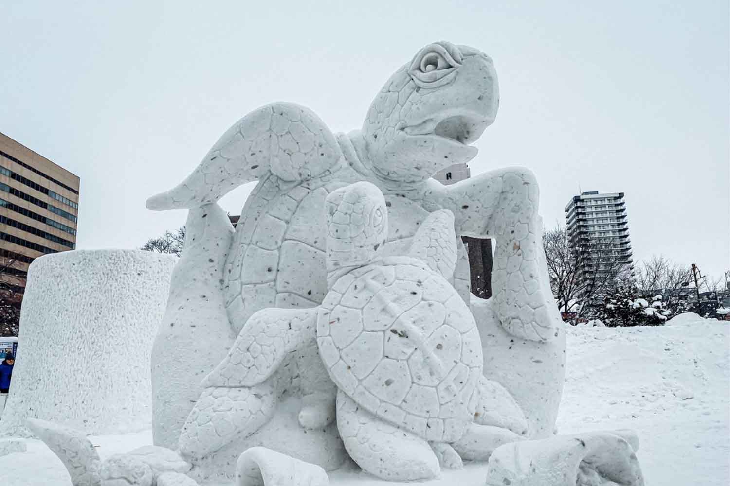 Thai sea turtle snow sculpture wins in Sapporo