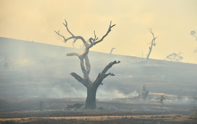 The devastating fires have raged since September, burning out more than 10 million hectares, killing 33 people and destroying more than 2,500 homes. The devastating fires have raged since September, burning out more than 10 million hectares, killing 33 people and destroying more than 2,500 homes.