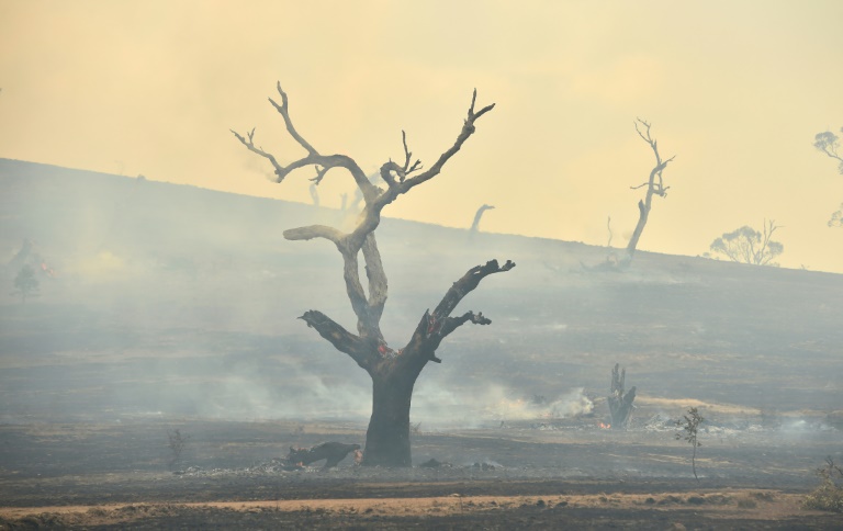 Rains 'breaking the back' of Australian bushfire crisis