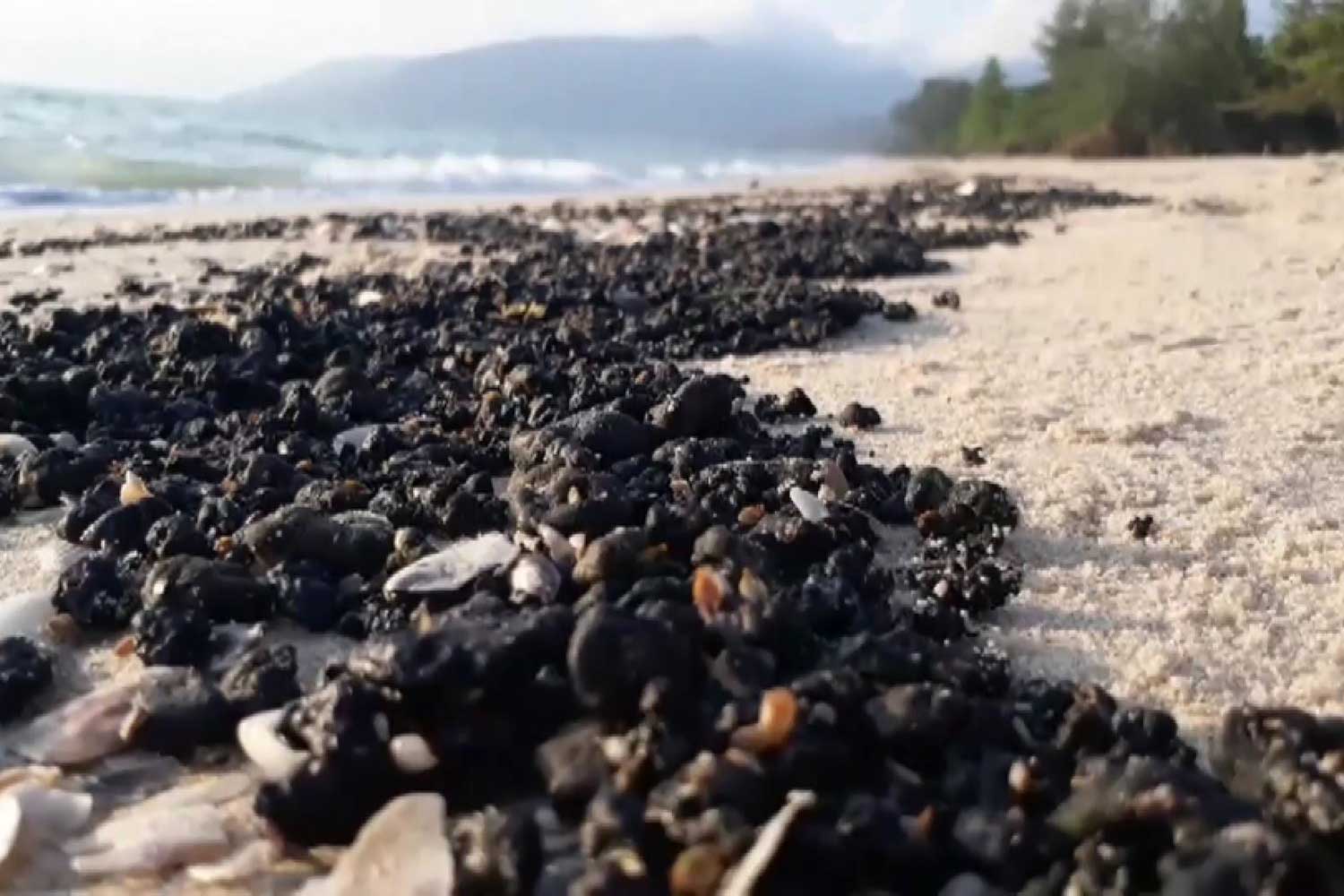 Oil spills blight tourist beaches