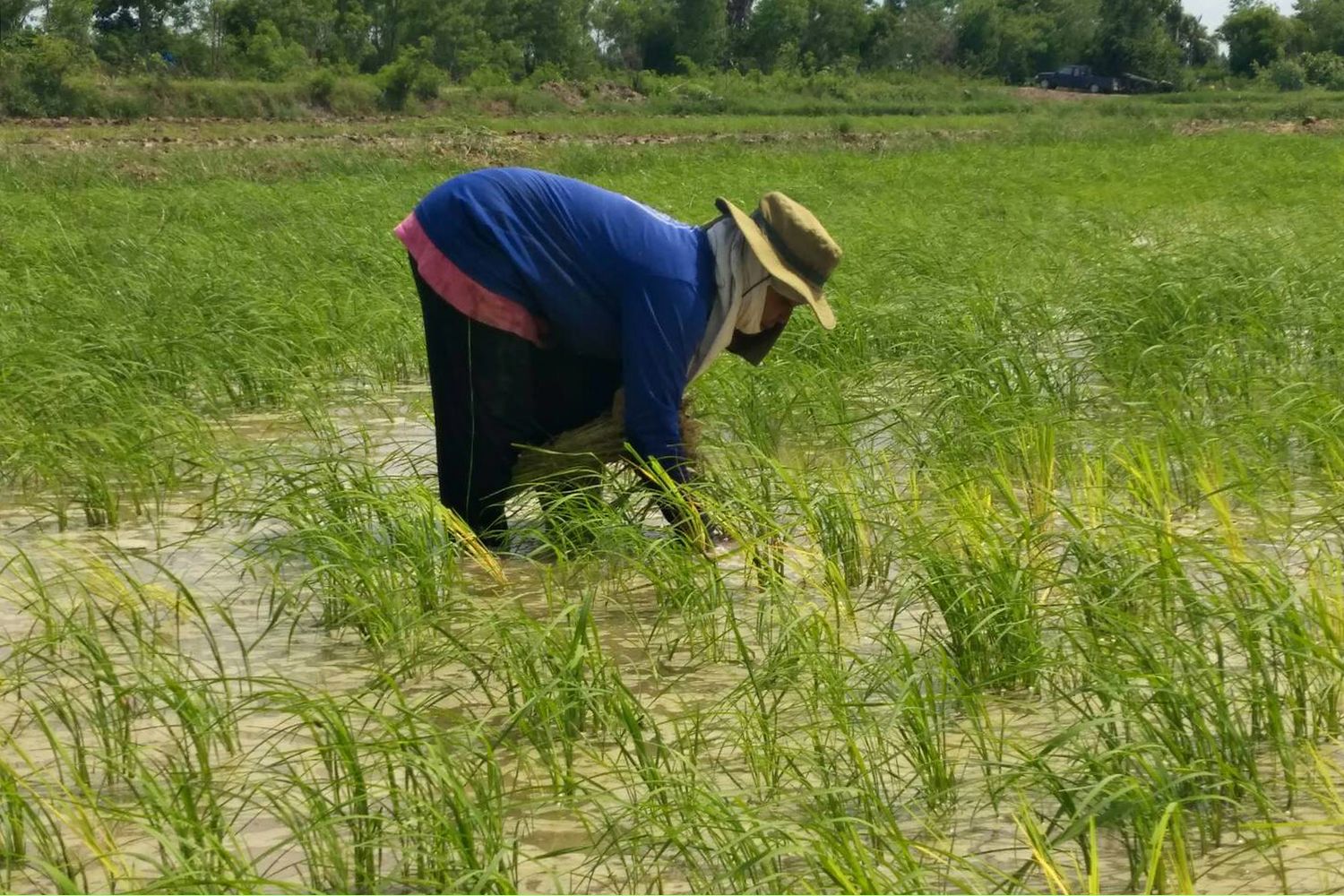 Farming households get B15,000 aid