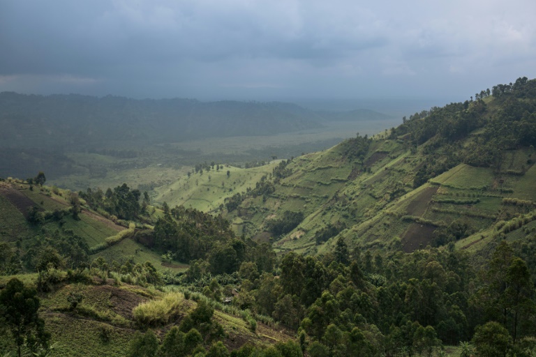 DR Congo again blames Hutu rebels for ranger massacre