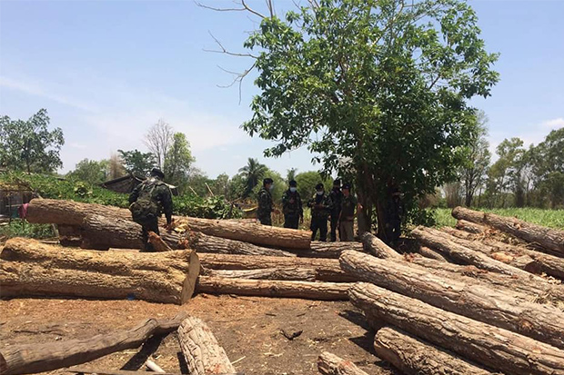 Illegally-felled logs seized in Mae Sot