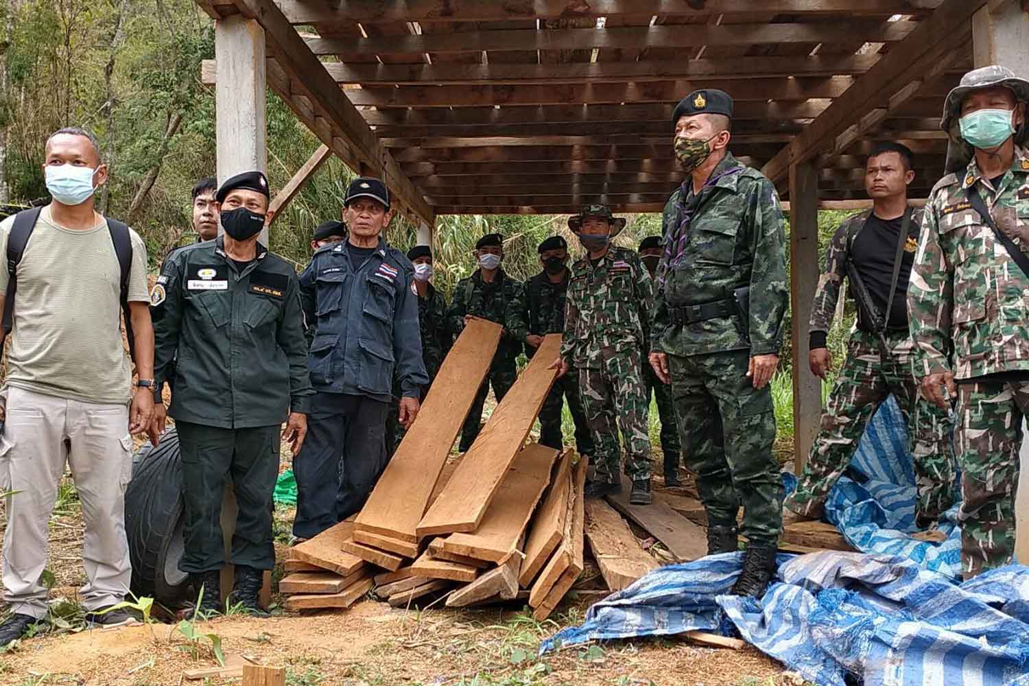 Illegally cut teak seized in Mae Sot