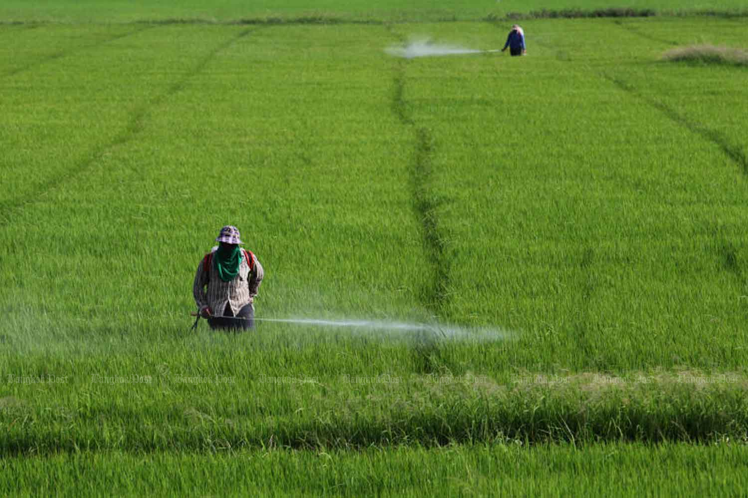 Farmers reject chemical ban