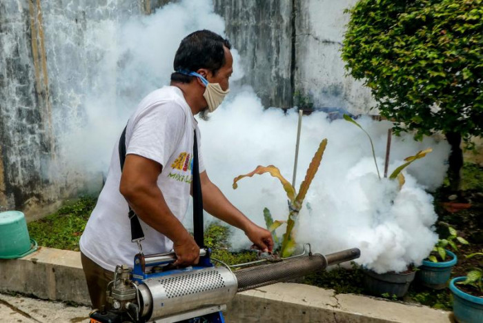 Dengue fever cases spike in Indonesia alongside coronavirus