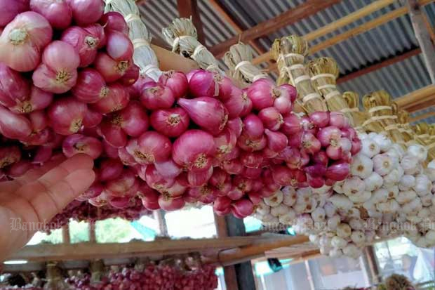 Si Sa Ket shallots, garlic join GI registration list