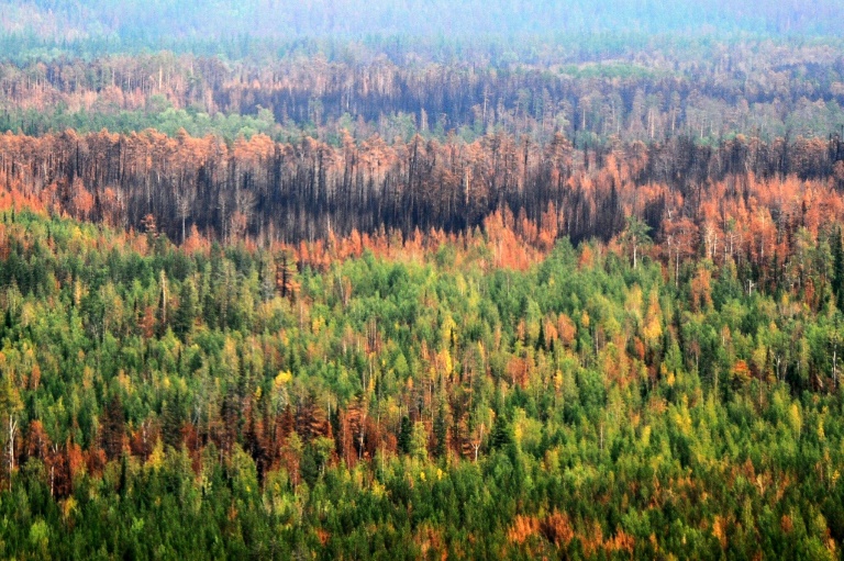 Russia struggles with wildfires in its remote taiga every summer Russia struggles with wildfires in its remote taiga every summer