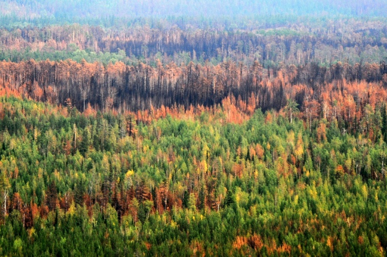 Russian Arctic sets 'fantastical' heat records: weather chief