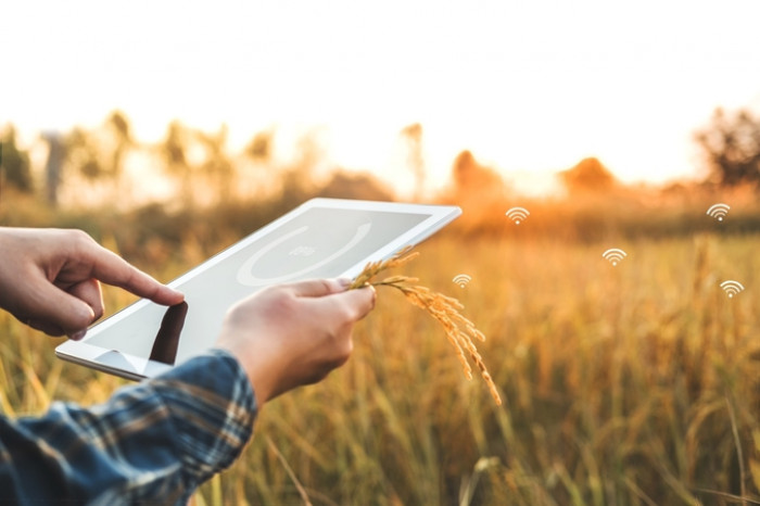 FARMING OF THE FUTURE