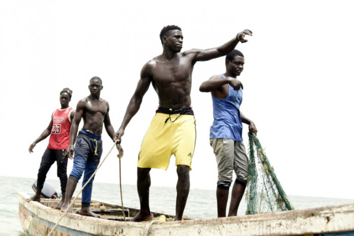 Sea turtles find protection from Senegal fishermen