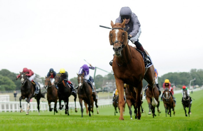 Pacemaker debate sets hearts racing after Serpentine's Derby win