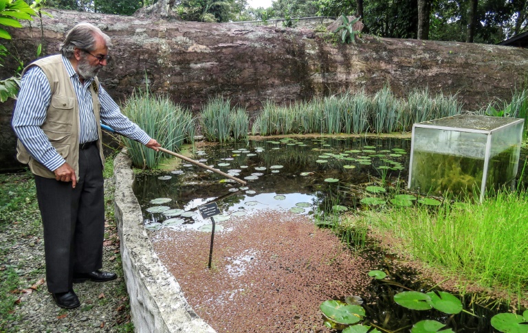 Botanist Battles Lockdown To Save Andean Garden Paradise